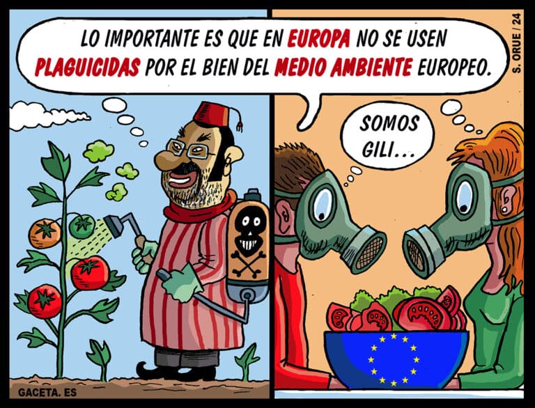 El Tomate De Marruecos Conquista Europa