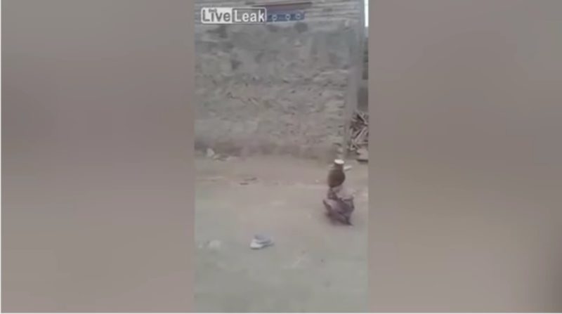 Un niño dispara con un rifle contra la lata sobre la cabeza de su amigo