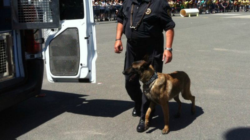 Denuncian ante Colau las 'deplorables' condiciones de los perros de la Guardia Urbana
