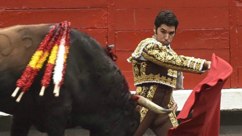 El TC suspende la ley balear que prohíbe la muerte del toro en las corridas