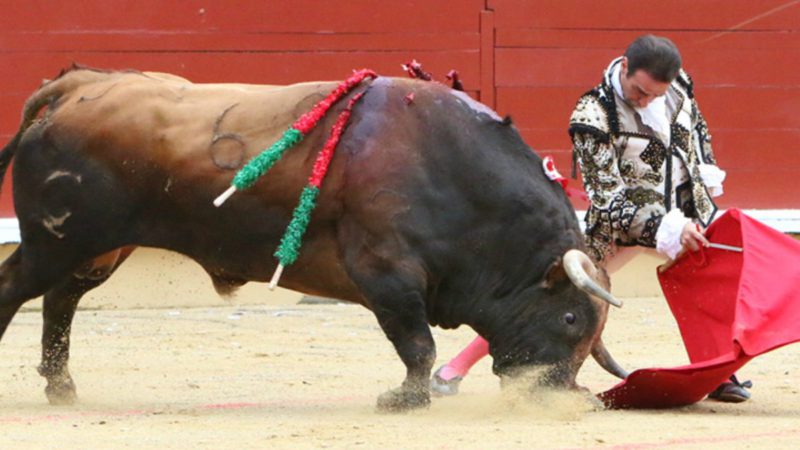 Un concejal de Vitoria equipara los toros con el 'machismo'