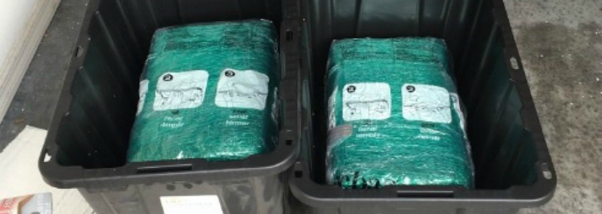 Compran cajas de plástico en Amazon y llegan con 29 kilos de marihuana