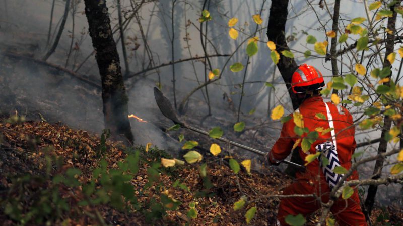 El fuego ha arrasado 13.000 hectáreas en Asturias en menos de un mes