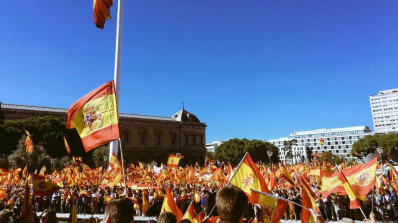 En defensa de España, un paso adelante. El discurso de José Javier Esparza en la manifestación