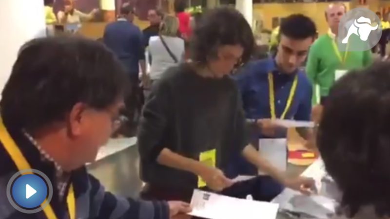 Apoderados de ERC y la CUP contaron votos el 21-D pese a estar prohibido