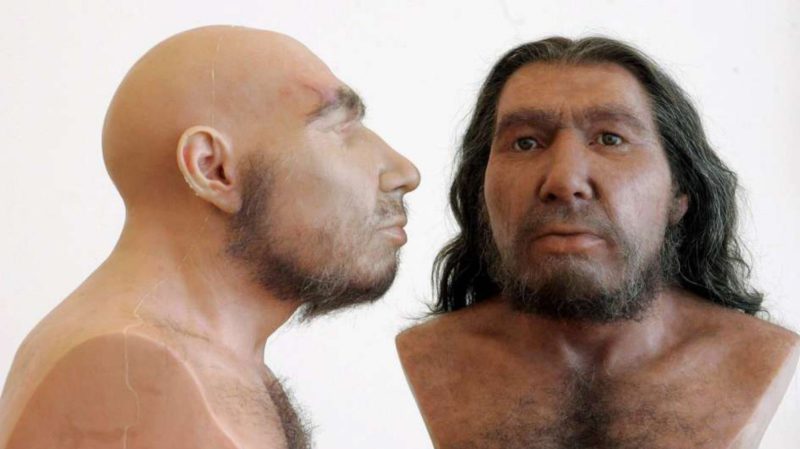 Los neandertales tenían un tórax adaptado para lograr más oxígeno