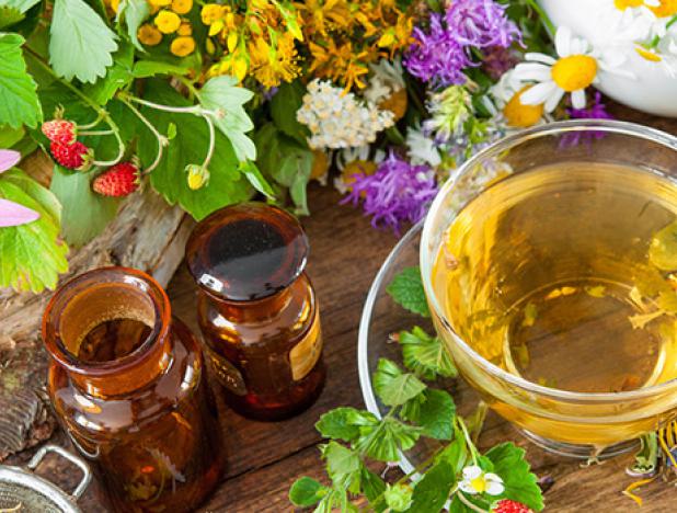 La medicina natural y su celebración anual