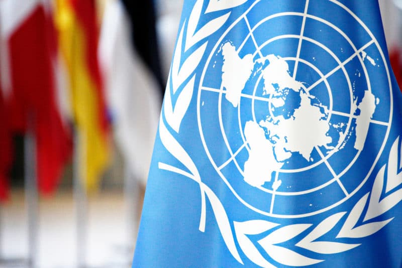La Organización de las Naciones Unidas