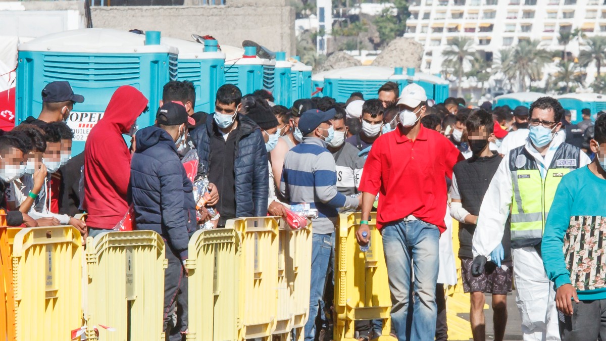 Avalancha de inmigrantes ilegales en Canarias: han llegado casi 900 en la última semana