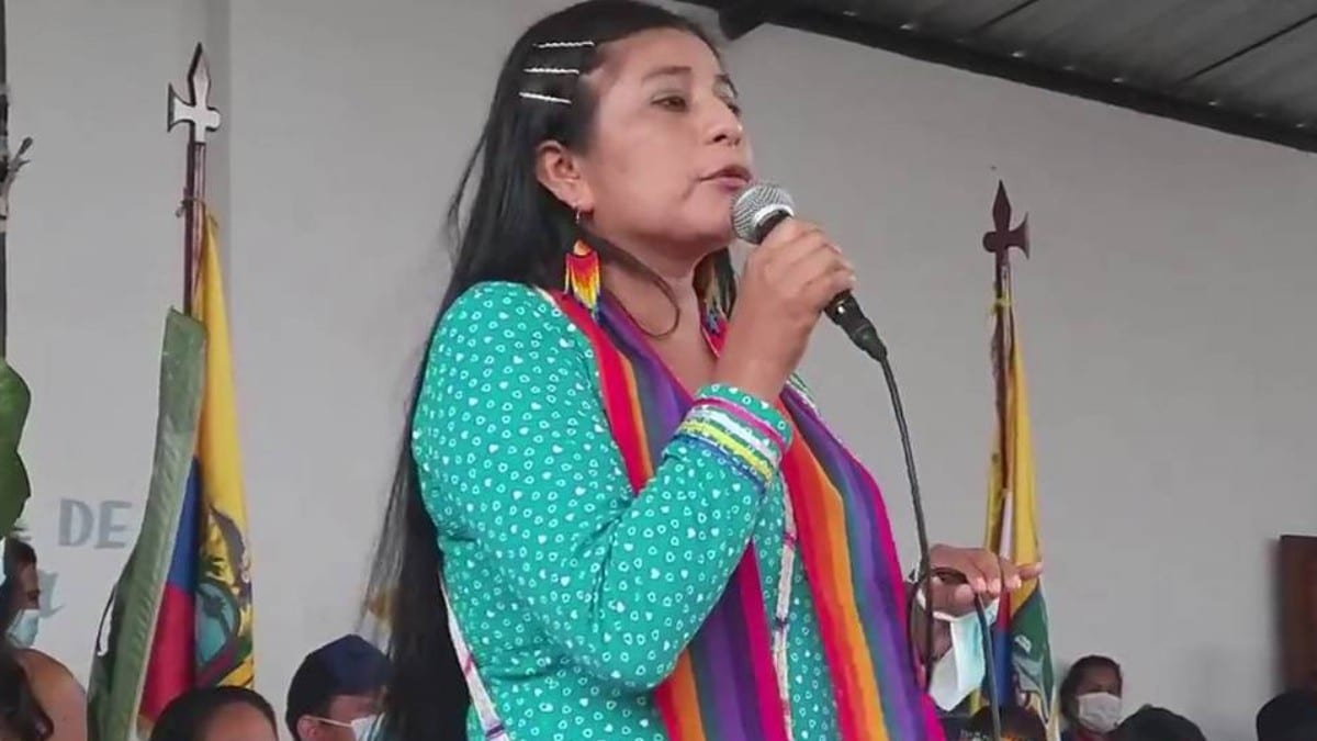 La ridícula condena a la legisladora indigenista que hizo apología del robo ante una multitud