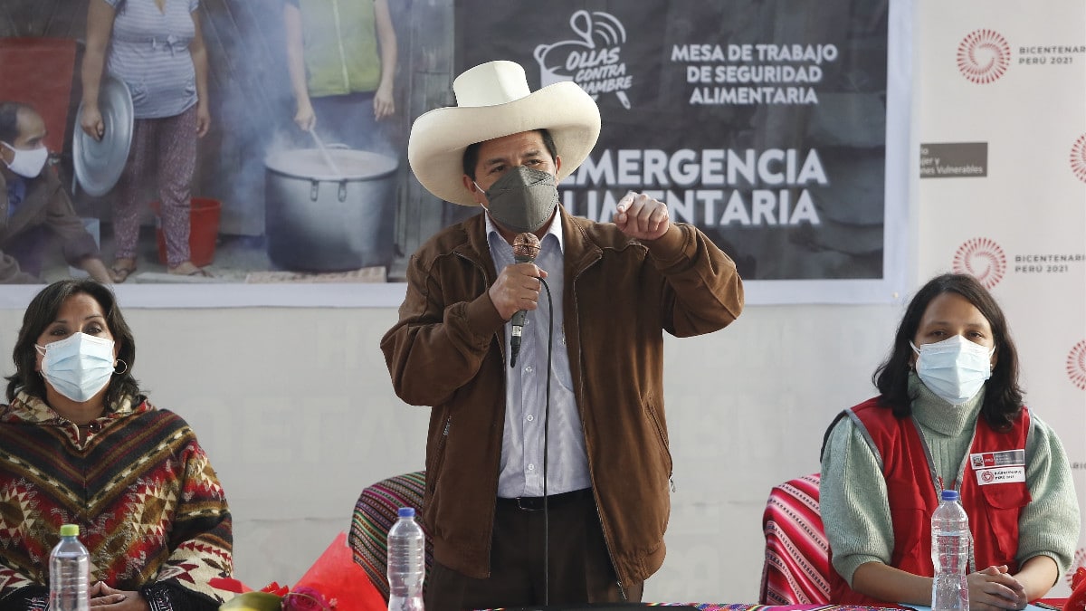 Pedro Castillo propone ‘industrializar’ el cultivo de coca en Perú