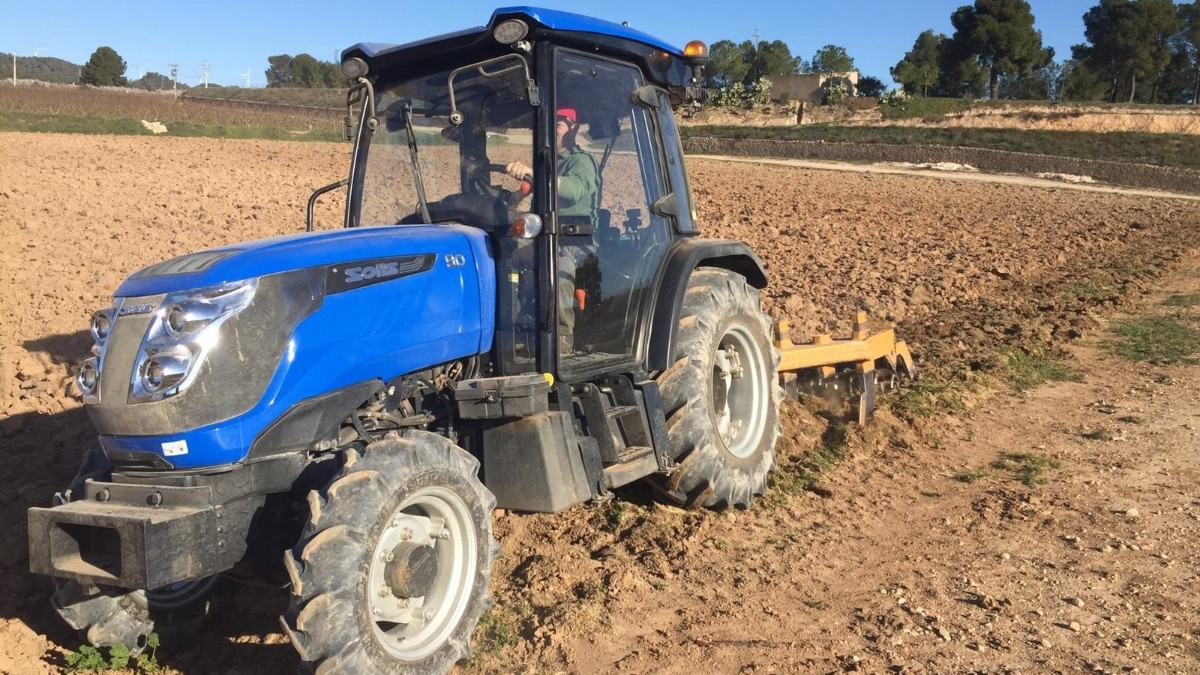 Los agricultores alicantinos denuncian las ayudas de Sánchez al olivo en Marruecos mientras los productores españoles no cubren costes
