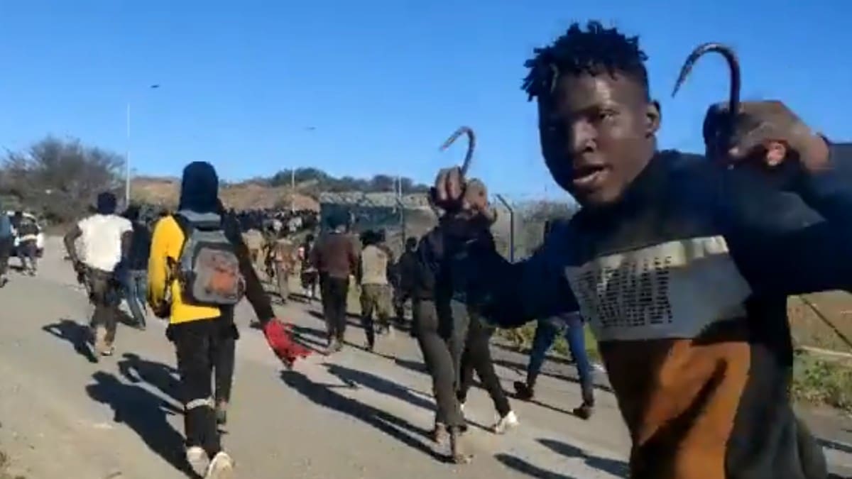 Inmigrantes ilegales con garfios asaltan la valla de Melilla. Twitter