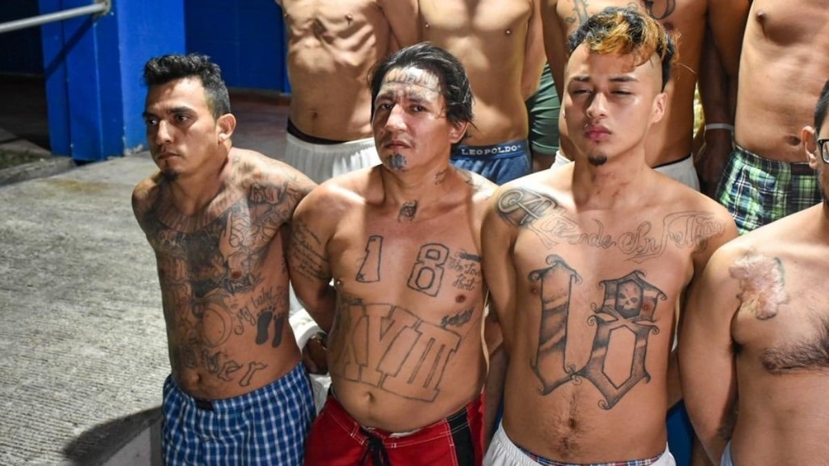 Siguen las detenciones en El Salvador: 500 pandilleros más han sido capturados por las autoridades