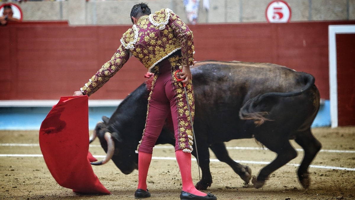 Los toros vuelven a Galicia con la Feria de La Peregrina de Pontevedra
