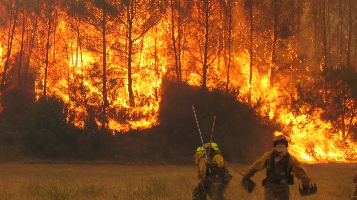 España se quema: casi la mitad de las hectáreas calcinadas en toda la UE en 2026 ha ardido en nuestro país