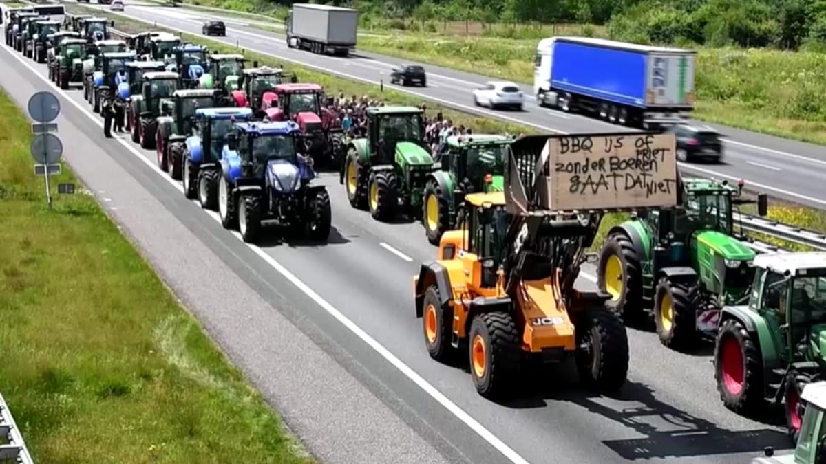 Los granjeros entran en el Parlamento: BBB consigue siete diputados en Países Bajos