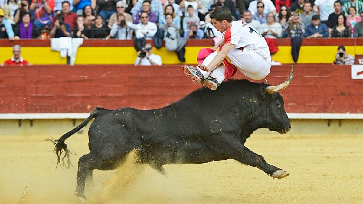 Se dispara el número de festejos taurinos populares celebrados en España