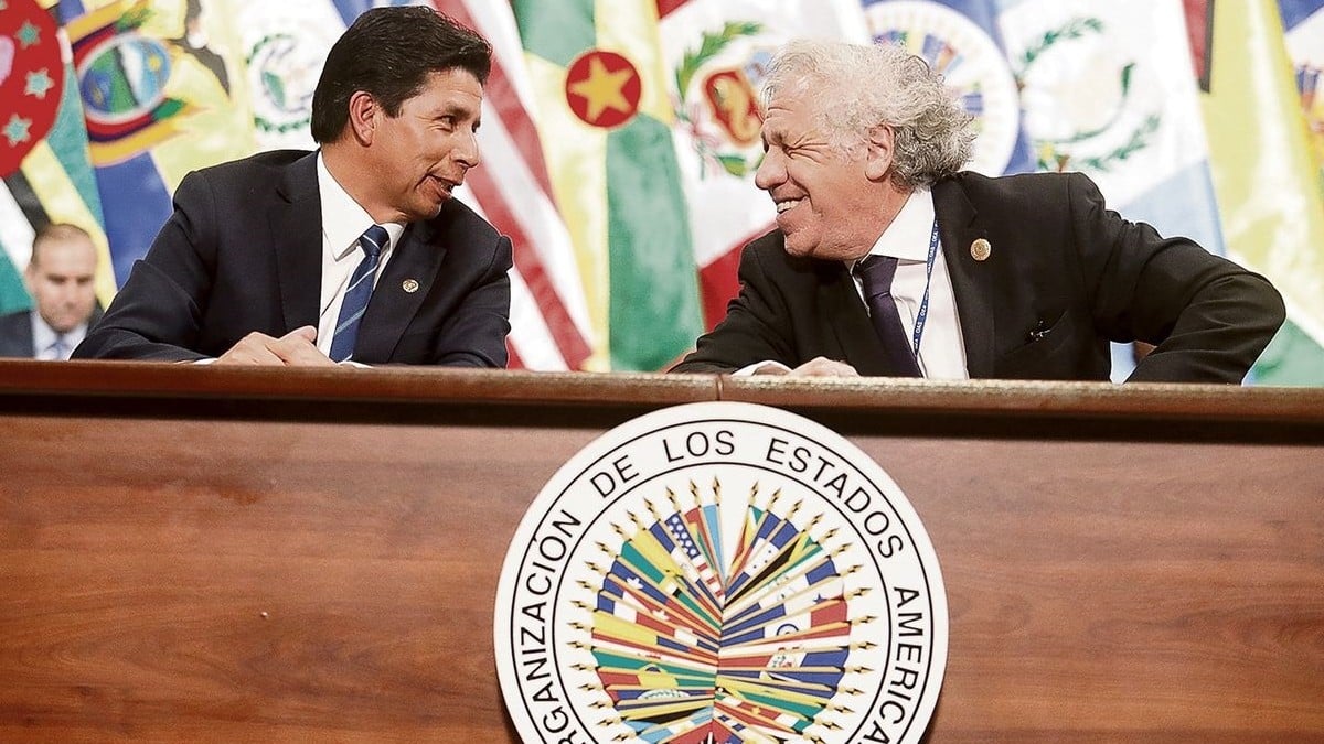 ¿Busca la OEA evitar la caída de Pedro Castillo?