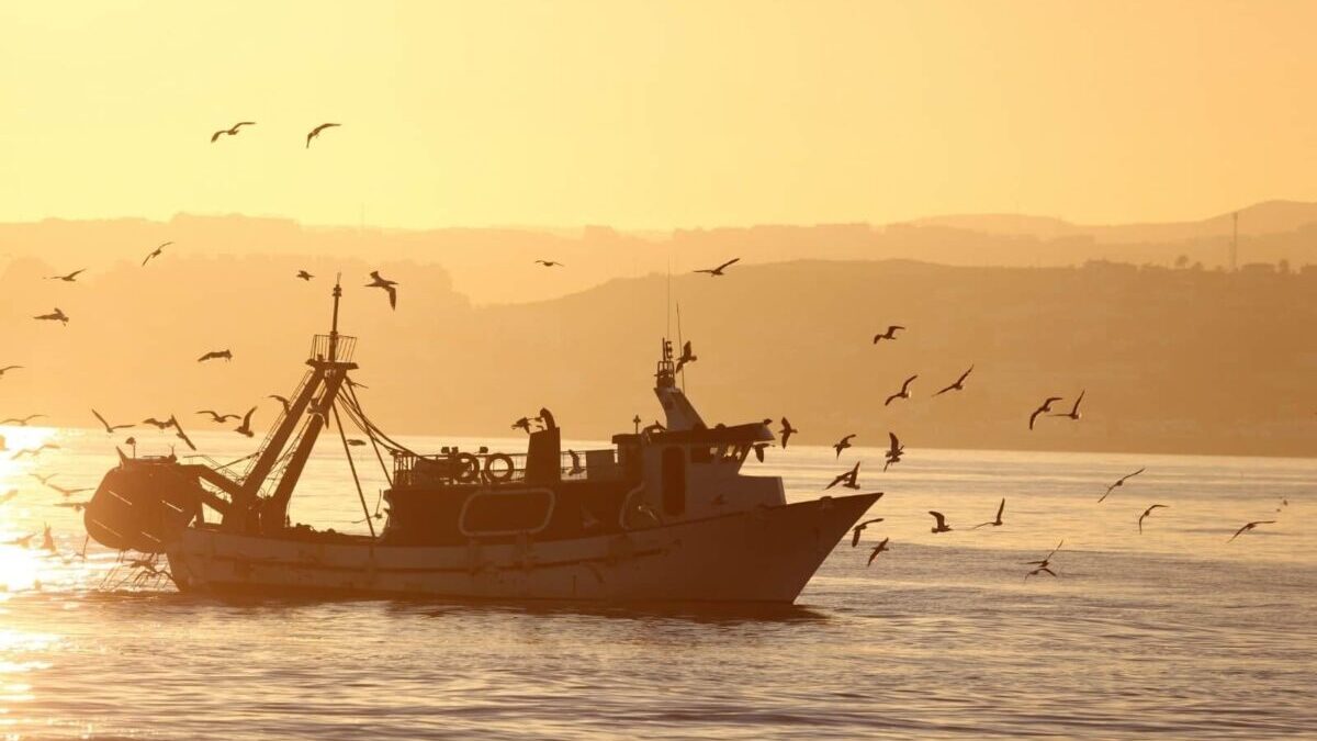 El sector pesquero, en contra del plan de Bruselas para acabar con la pesca de arrastre
