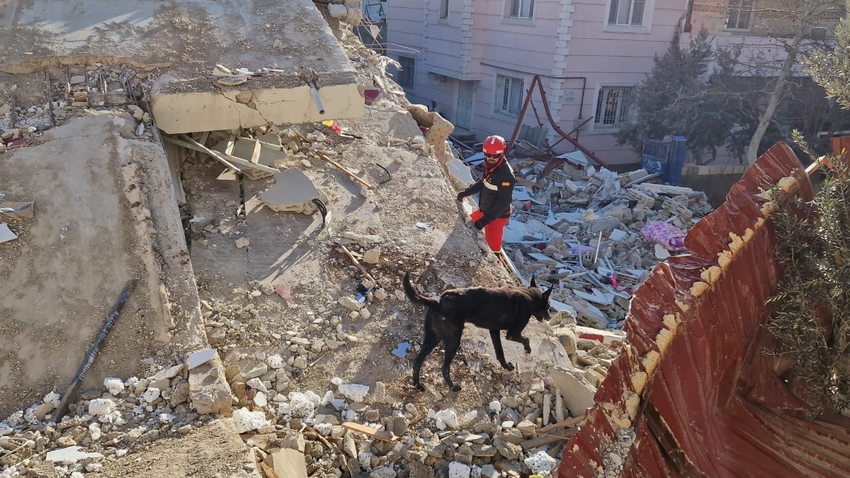 Efectivos de la UME desplazados a Turquía rescatan con vida a dos hermanos cinco días después del terremoto