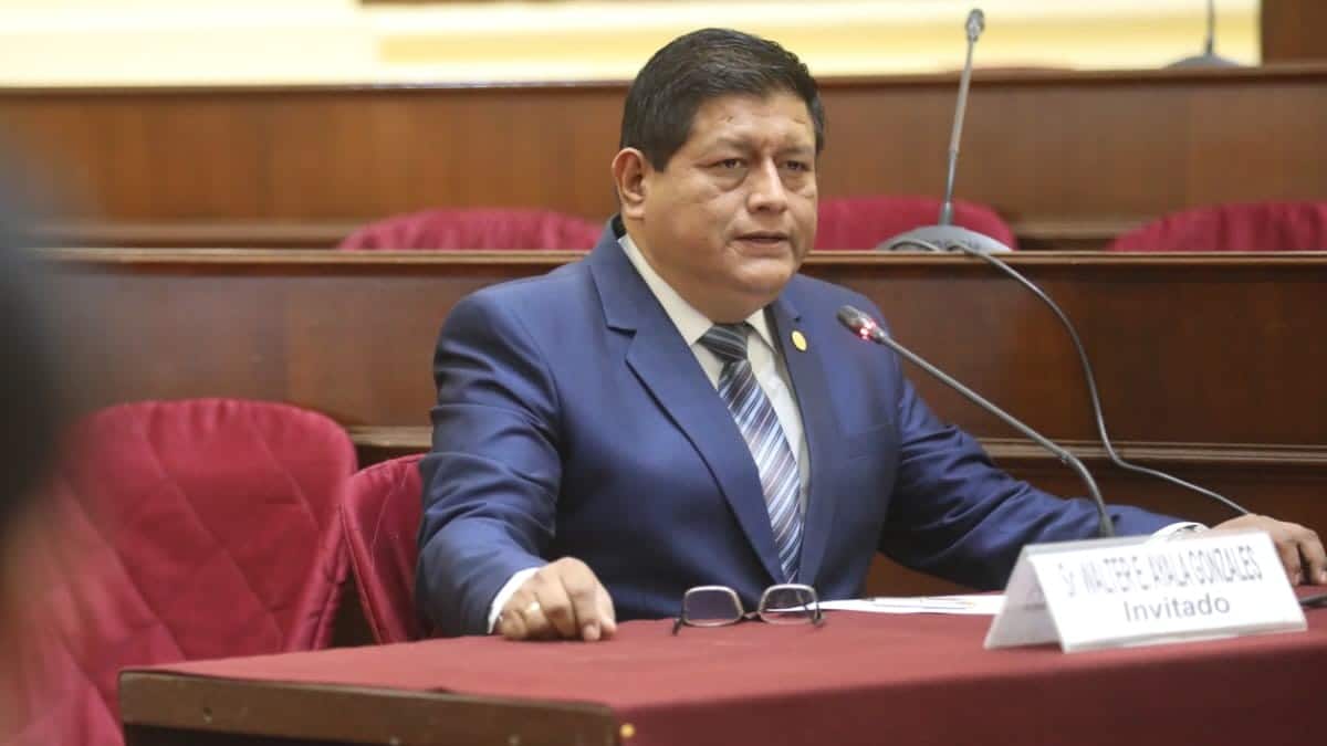 El abogado de Pedro Castillo pide a la CIDH su liberación y restitución como presidente de Perú