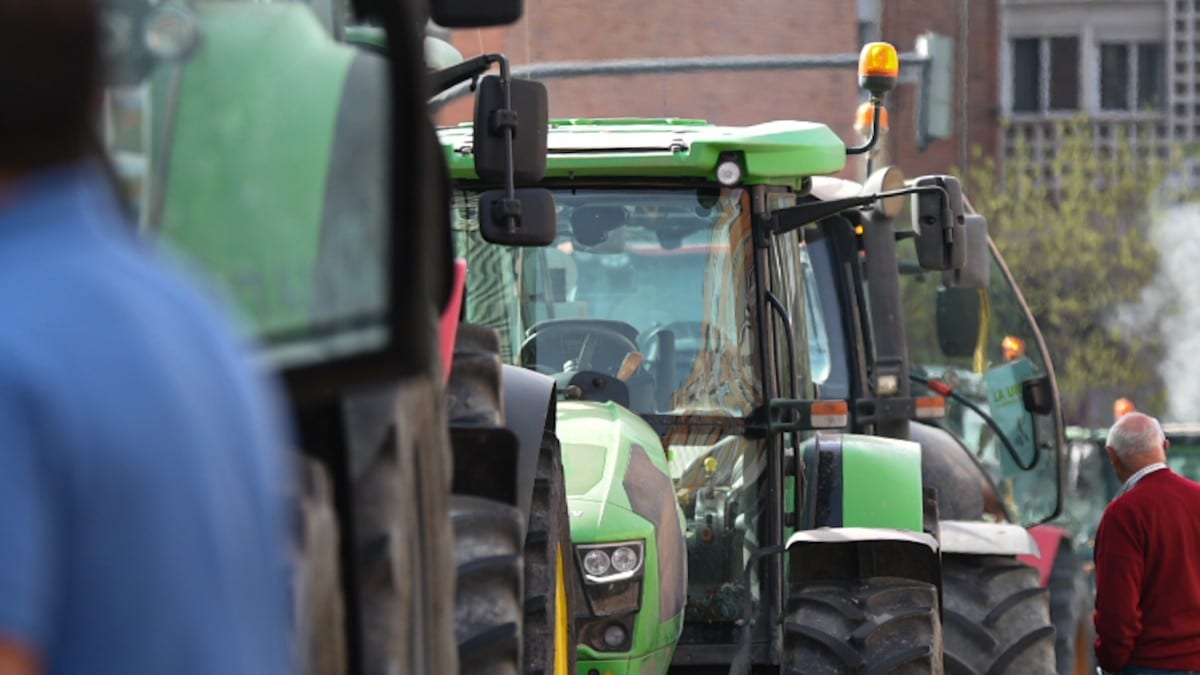 Los agricultores reclaman ayudas urgentes ante la pérdida de cosechas enteras de cereal: «Estamos abandonados»