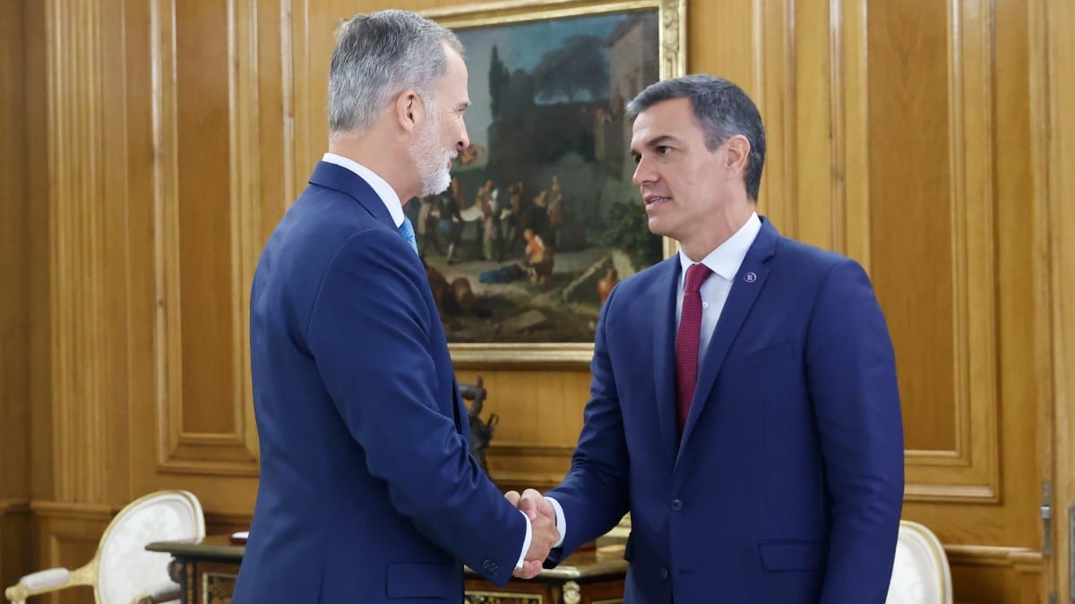 El Rey Felipe Vi recibe al secretario general del PSOE y presidente en funciones, Pedro Sánchez. Europa Press