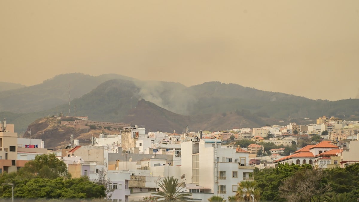 El incendio en Tenerife deja ya más de 12.000 evacuados y 8.400 hectáreas arrasadas