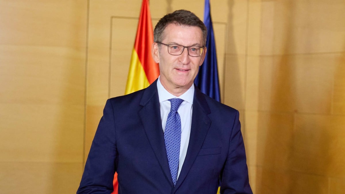El presidente del PP, Alberto Núñez Feijoo. Europa Press