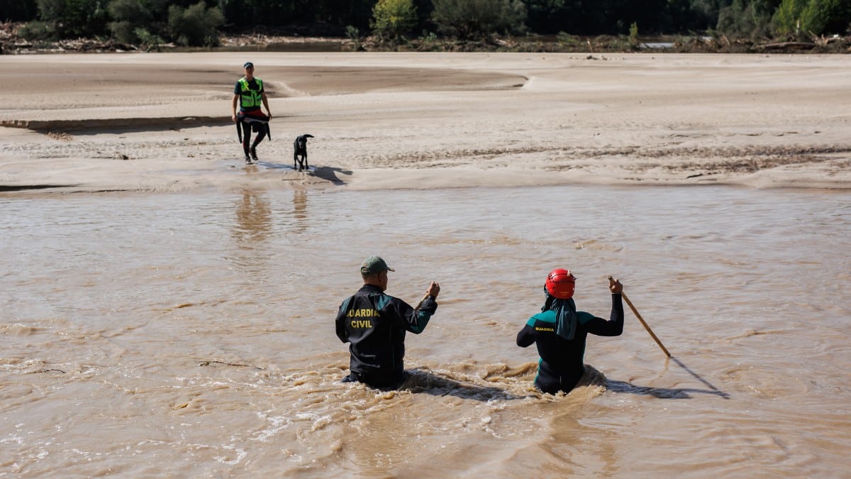 Agentes de la Unidad Cinológica Central sumergidos en una de las inundaciones causa de la DANA. Europa Press