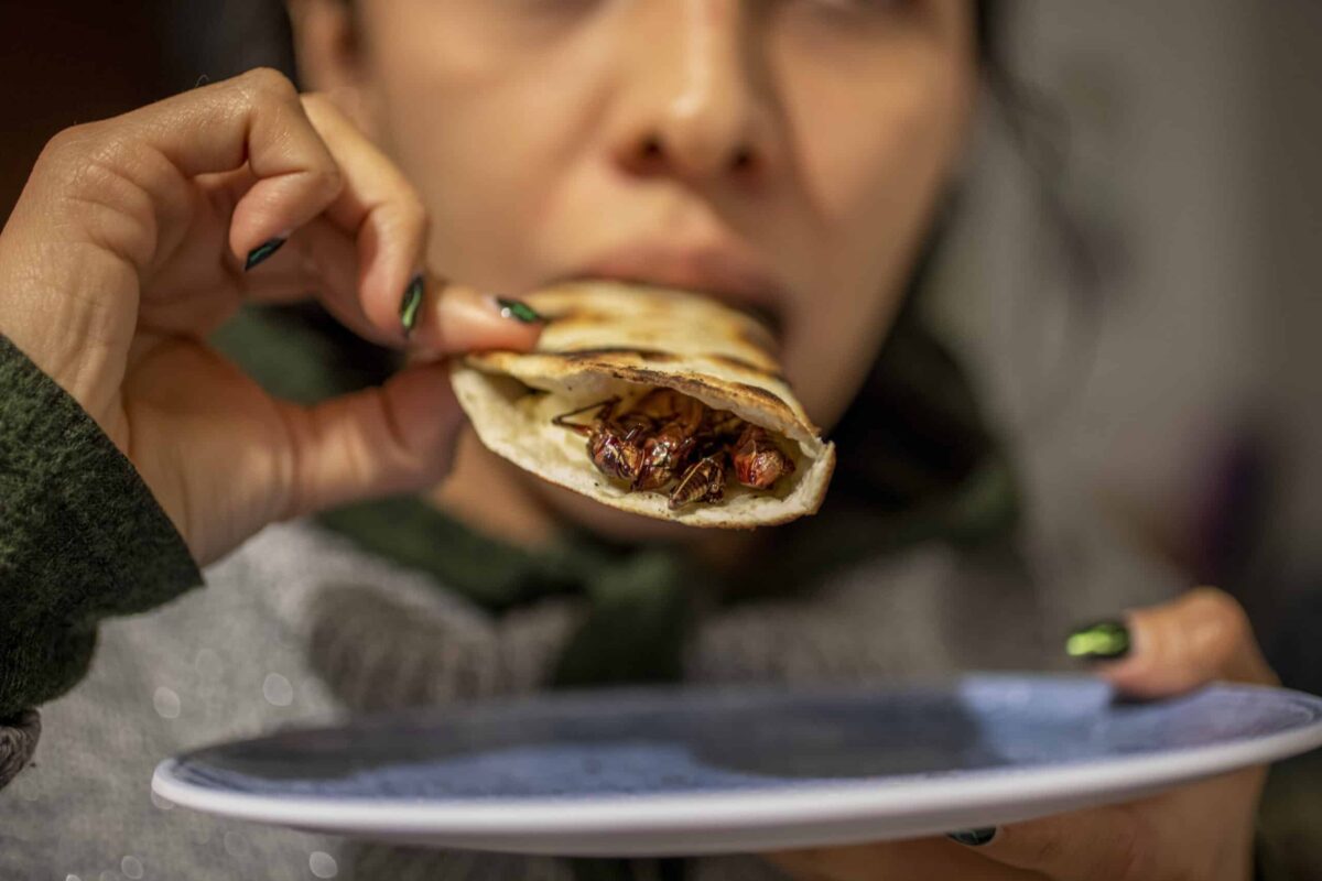 Una mujer come una quesadilla rellena de insectos en México. Europa Press