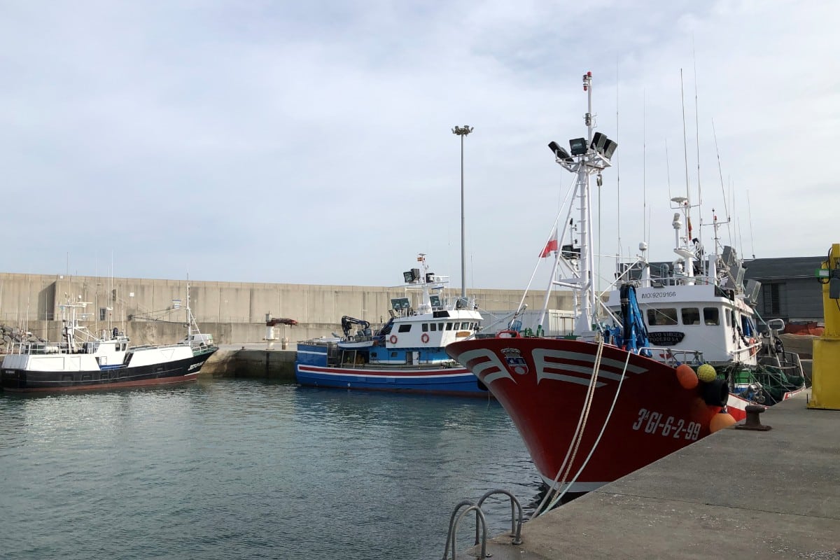 PP y PSOE votan en Europa a favor de más controles y restricciones para el sector pesquero