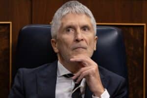 El ministro de Interior, Fernando Grande-Marlaska, durante una sesión de control al Gobierno, en el Congreso. Europa Press.