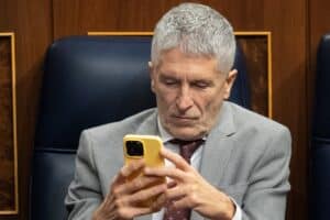 Marlaska atendiendo su móvil en el Congreso de los Diputados. Europa Press.