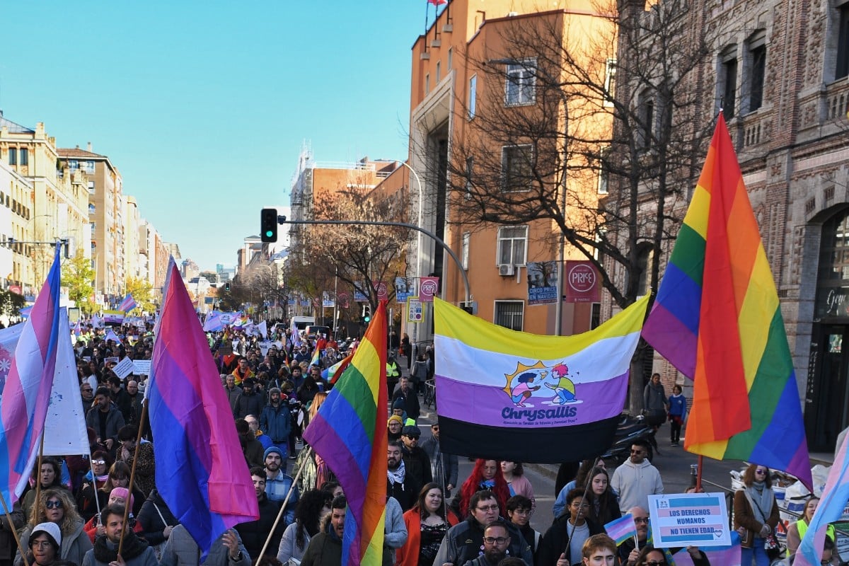 Banderas trans y lgtbi en una manifestación . Europa Press.