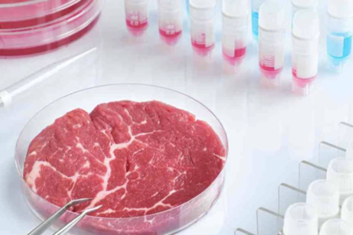 El Gobierno italiano se pone al frente de la cruzada contra la carne sintética en Europa