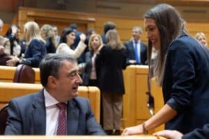 Sesión plenaria. Europa Press.