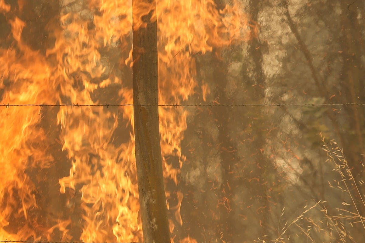Aumentan a 133 los muertos por los incendios forestales en la región de Valparaíso (Chile)