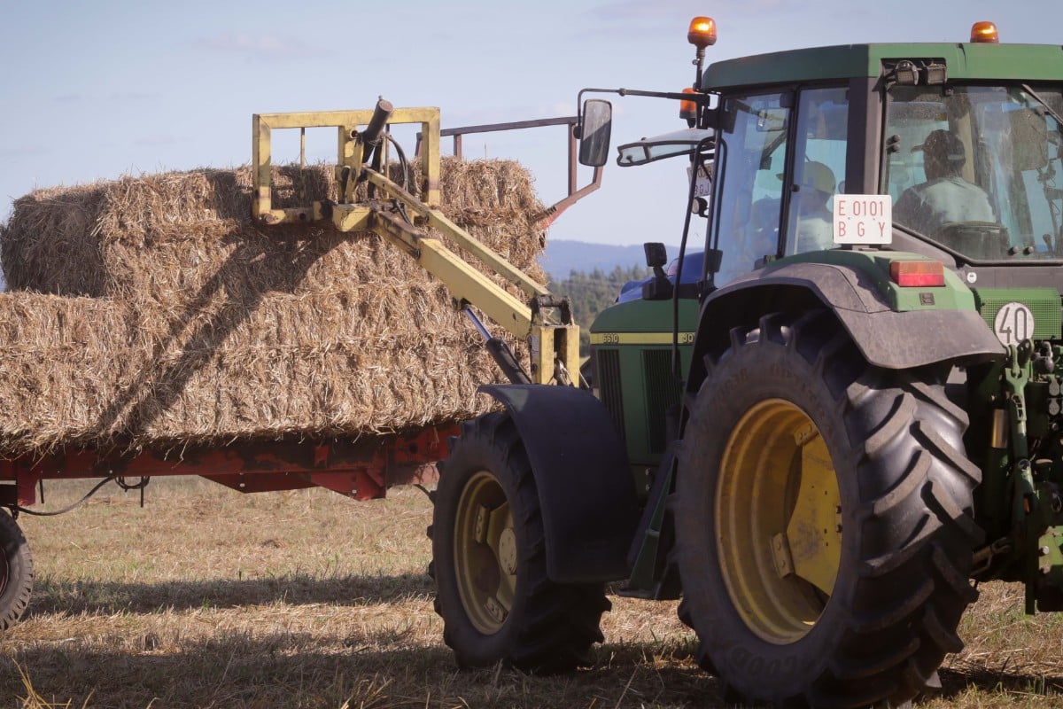 Las principales reivindicaciones de los agricultores contra el Pacto verde Europeo y la Agenda 2030: «Nos están arruinando»