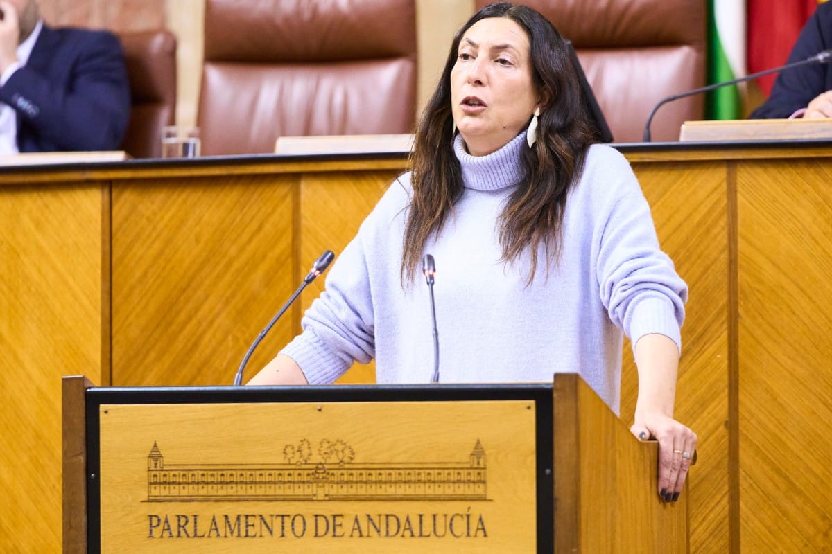 VOX exige controlar los delitos de los menas en Andalucía y la consejera del PP replica que es su «obligación» atenderlos