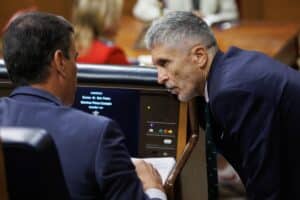 VOX lleva al Parlamento andaluz la reprobación de Sánchez y Marlaska. Europa Press.