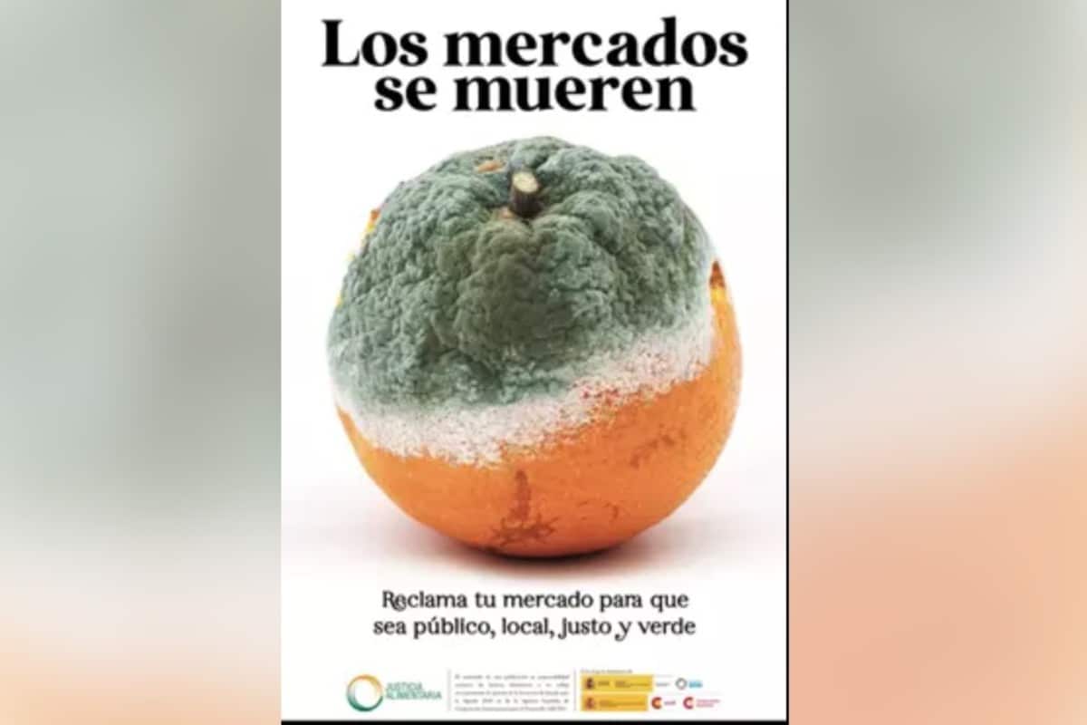 La Comunidad Valenciana, en pie de guerra contra una campaña del Gobierno de Sánchez que hunde a sus naranjas