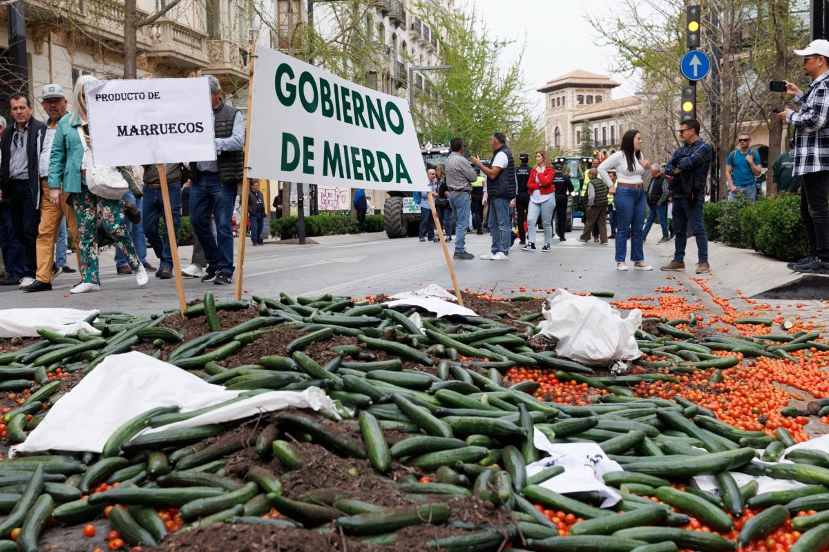 Los consejeros de Agricultura de VOX se reúnen para exigir de nuevo soluciones para el campo español. Imagen de archivo, tractorada en Granada. Europa Press.