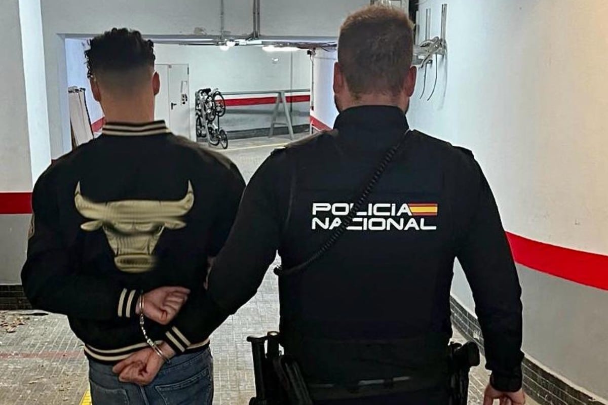 La Policía Nacional detiene en Palma a cuatro argelinos por distintos robos en menos de tres horas