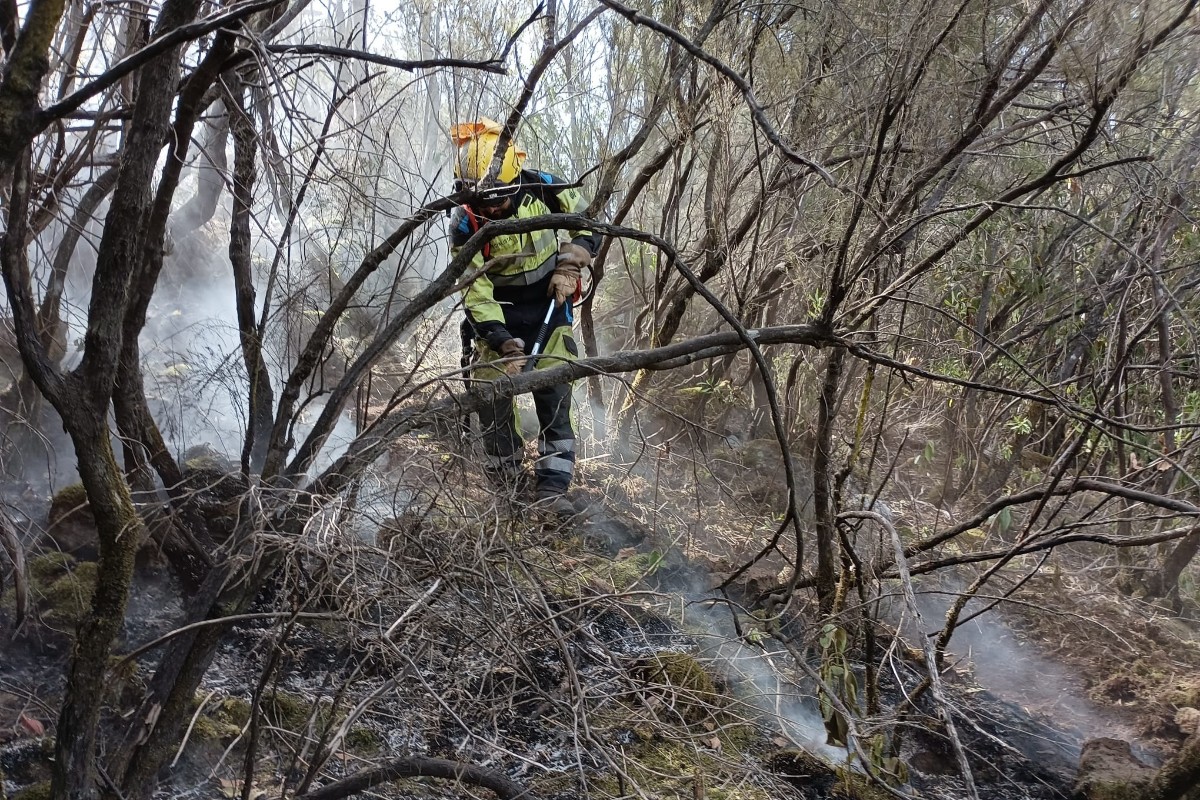 El Gobierno de Canarias declara la alerta por riesgo de incendios forestales