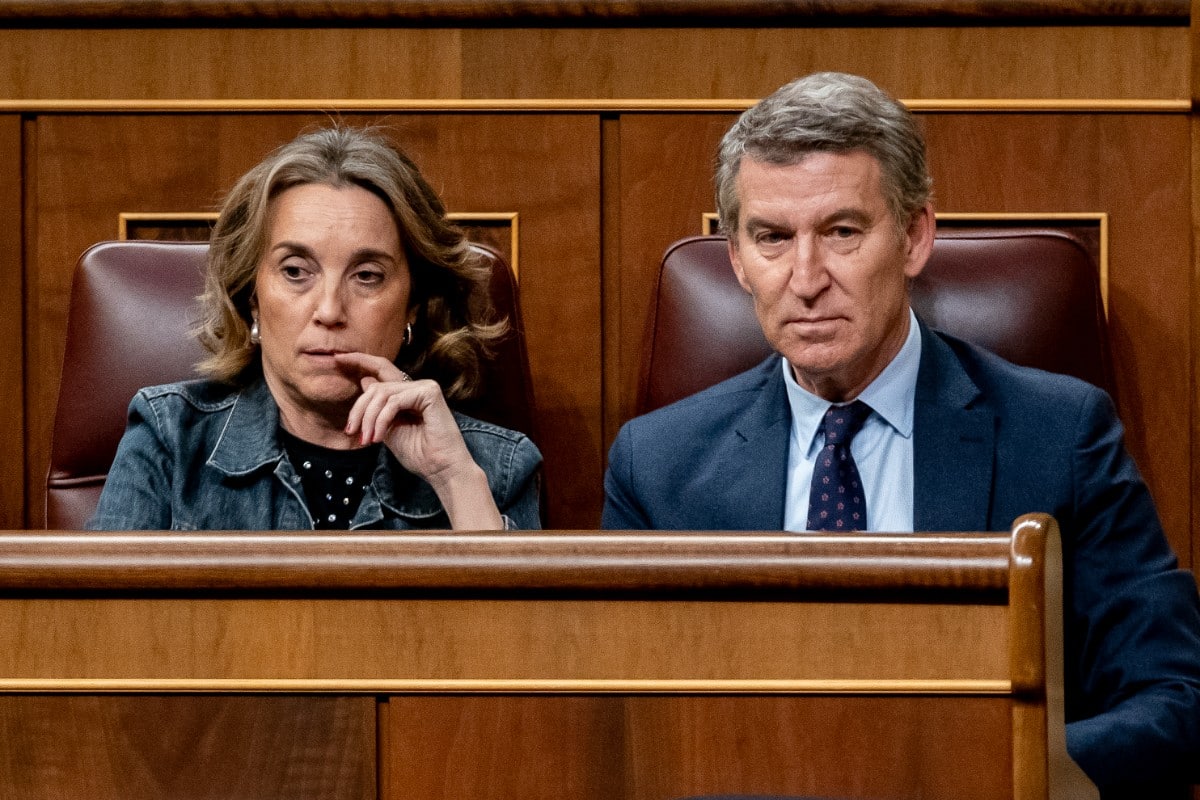 El PP contradice a Mazón y defiende en el Congreso la «hoja de ruta» de Von der Leyen que mantiene el Pacto Verde