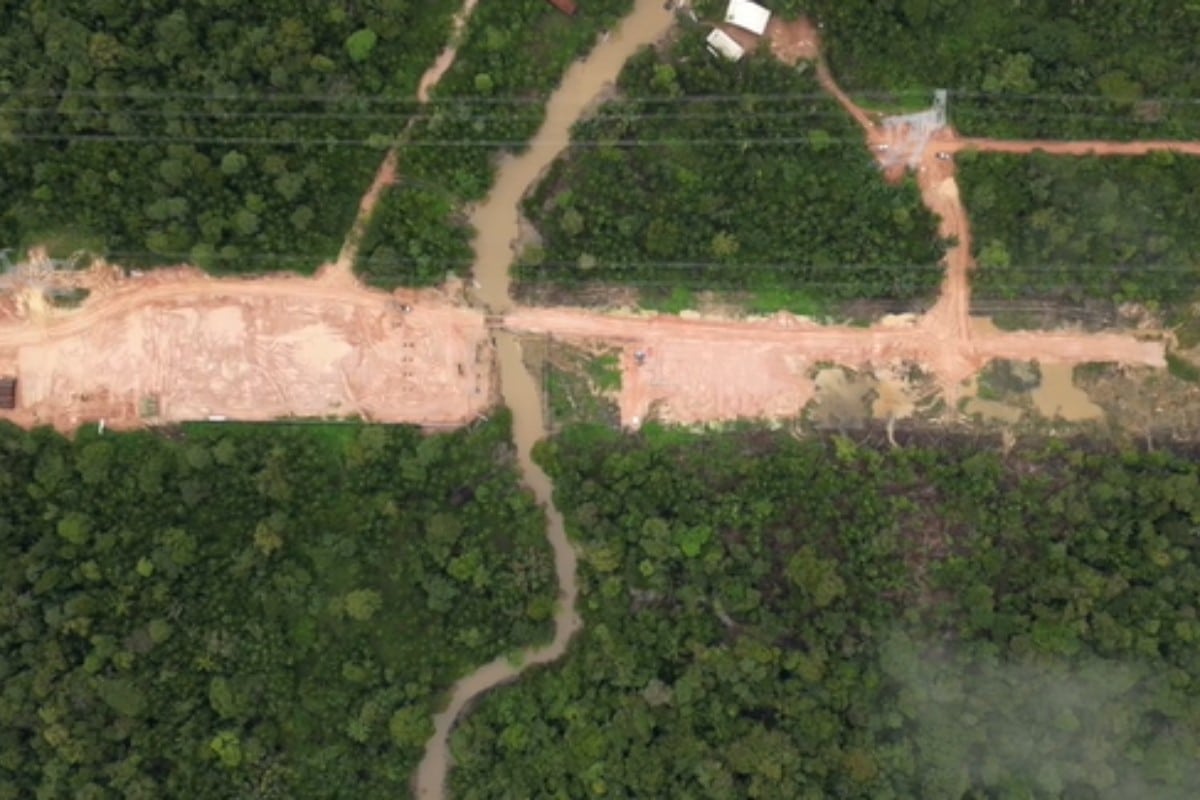 El Gobierno de Brasil tala la selva amazónica para construir una autopista para la cumbre climática COP30