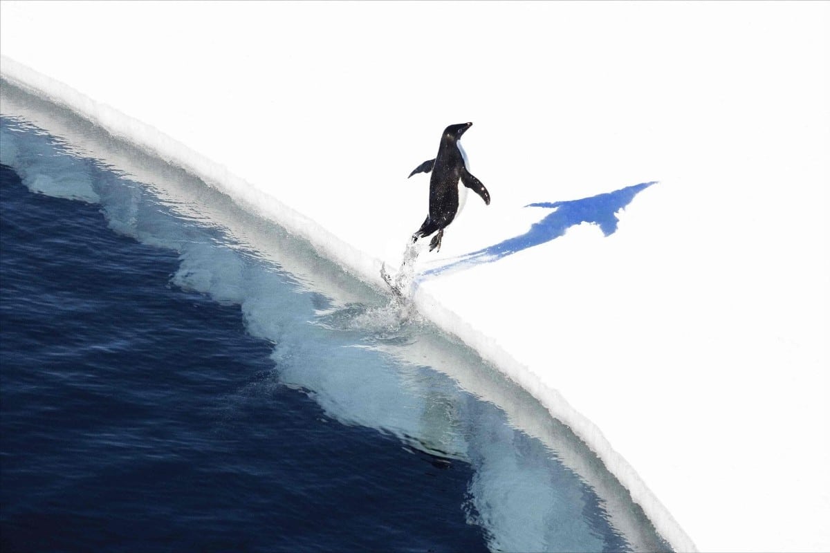 Fotografías históricas de la Antártida contradicen la narrativa oficial: revelan 85 años de estabilidad e incluso crecimiento del hielo
