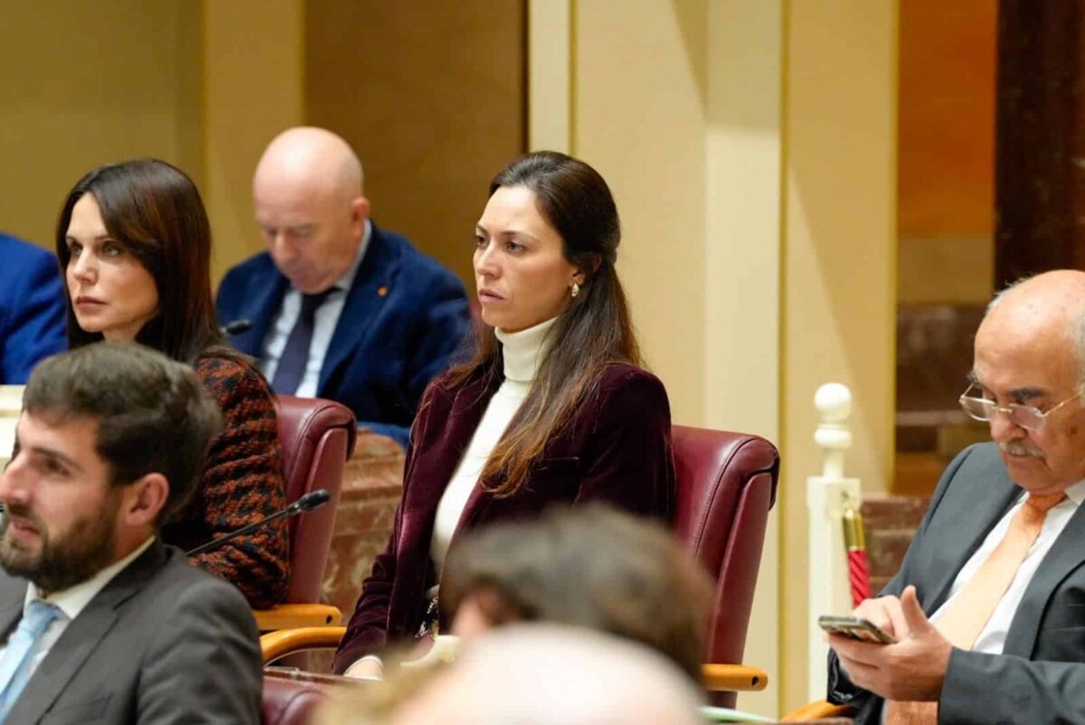 La Asamblea de Murcia vota a favor de la repatriación de menas, a iniciativa de VOX